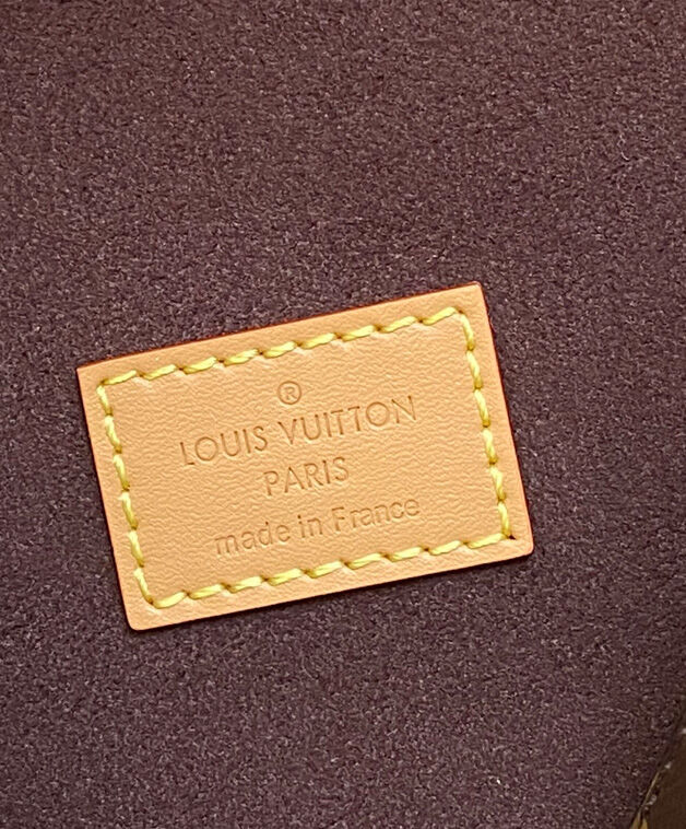 Louis Vuitton Pochette Camille M13566 Brown